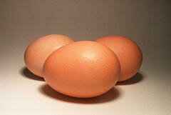 eggs